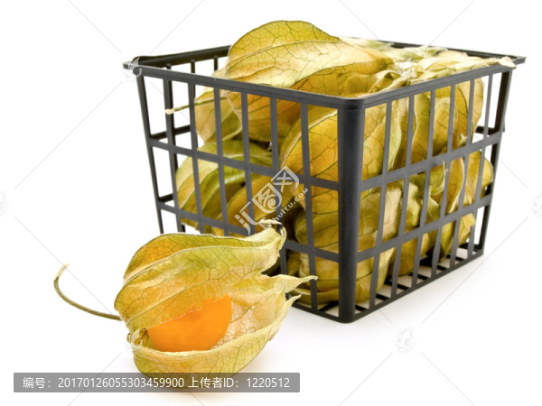 櫻桃IB籃
