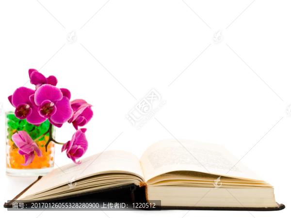 開放的書和蘭花
