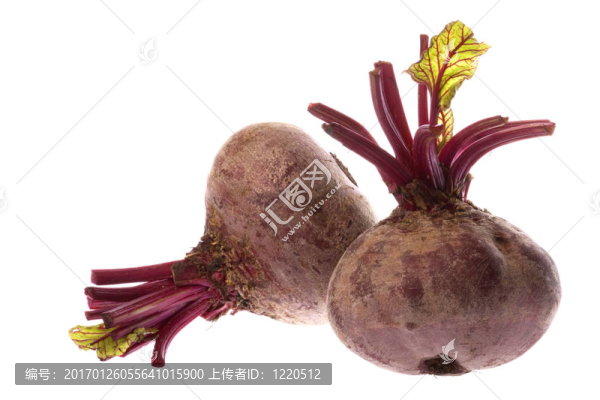 甜菜中分離