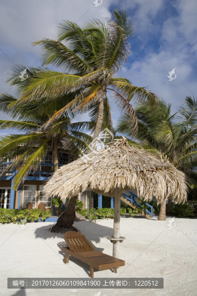 布朗躺椅和帕拉帕