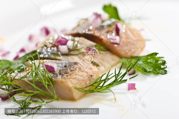 鯡魚