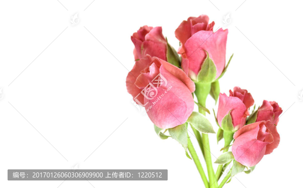 紅玫瑰花束