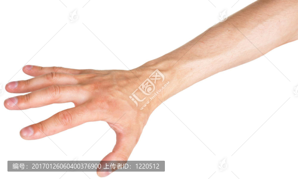 手上的白色-匯圖網(wǎng) www.fosd68.com 手上的白色