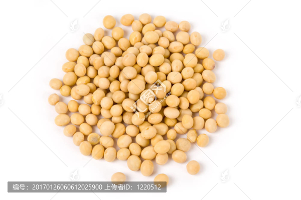 大豆