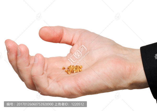 把谷物