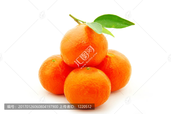 Tangerine夜店
