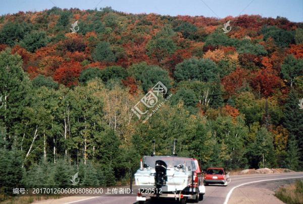 秋天的顏色g-2643照