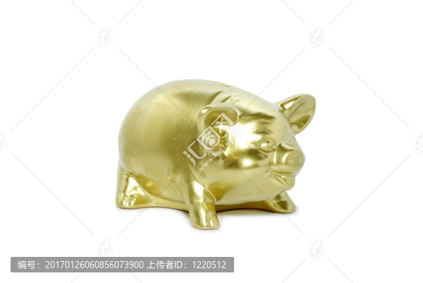 金色的小豬存錢罐