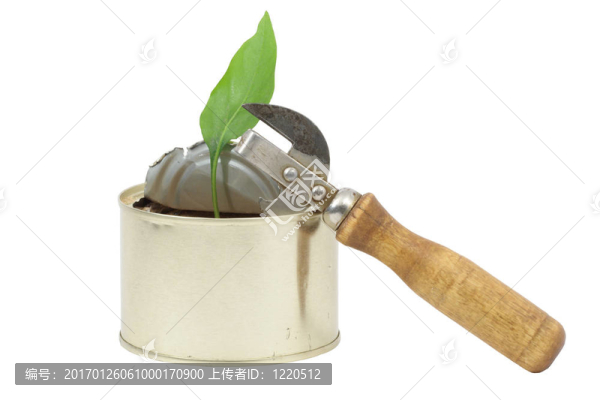 葉可