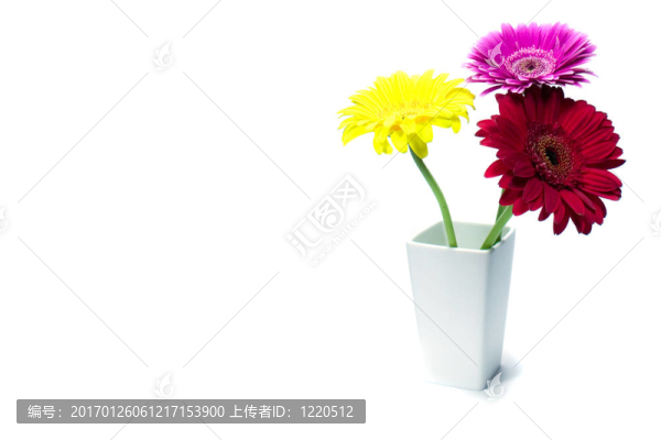 三下的花