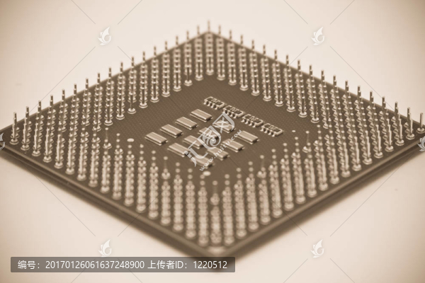 烏賊的CPU