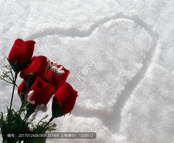 雪心與紅玫瑰花束