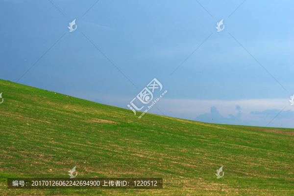 視野