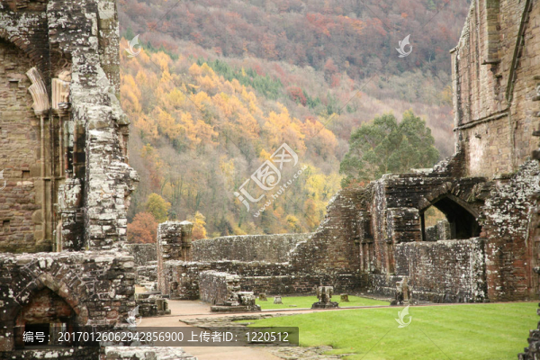 Tintern,Abbey在秋天