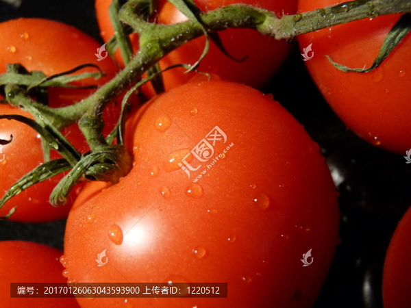 西紅柿