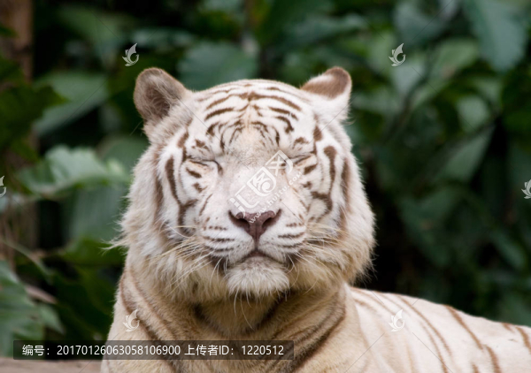 讓我感到吃驚