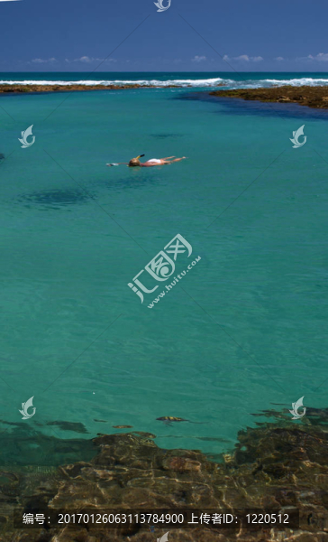在Porto,de,Galinhas水晶清澈的海水中游泳；巴西