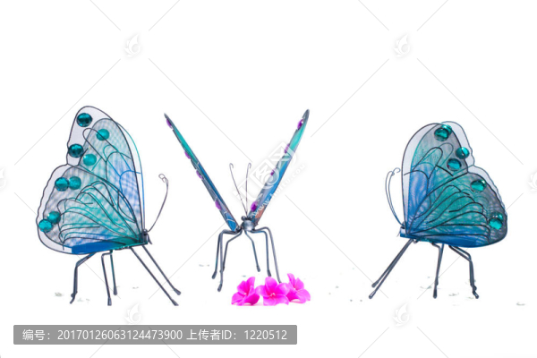 蝴蝶聚集在