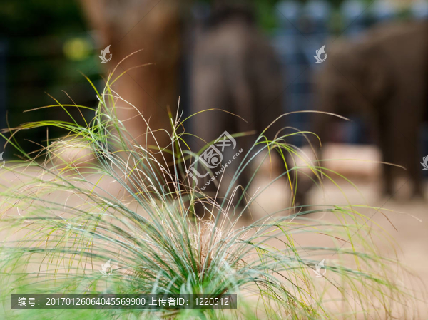 zoo48