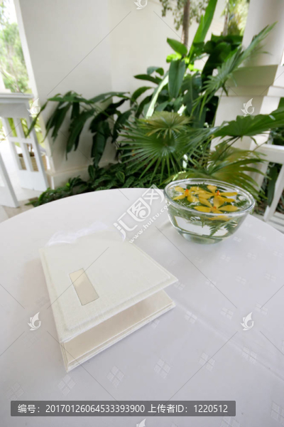 參加婚禮的客人的書