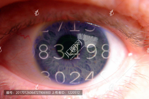 數(shù)