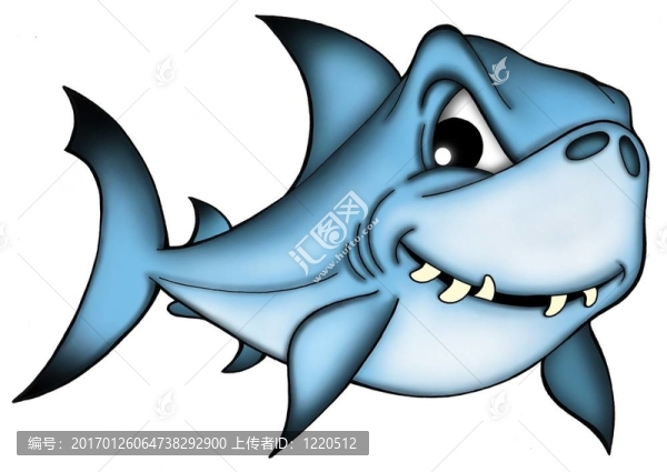 白色背景上的鯊魚