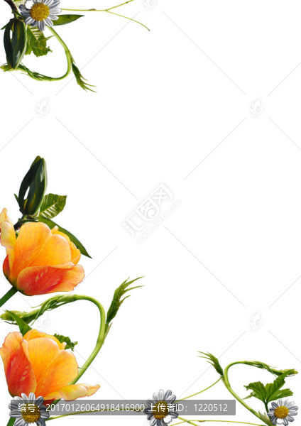 新鮮的花境