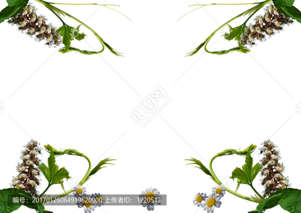 新鮮的花境