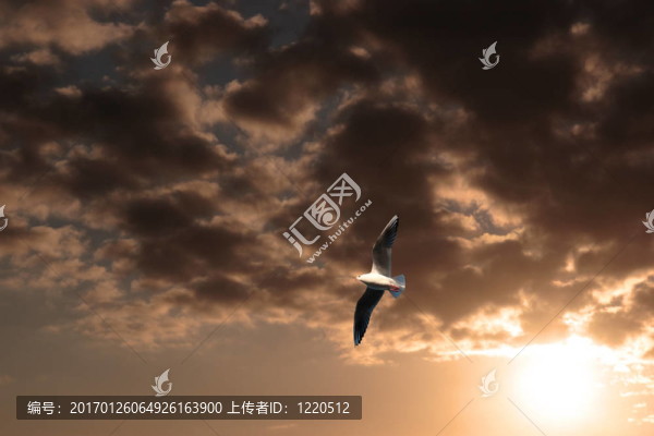 夜間飛行