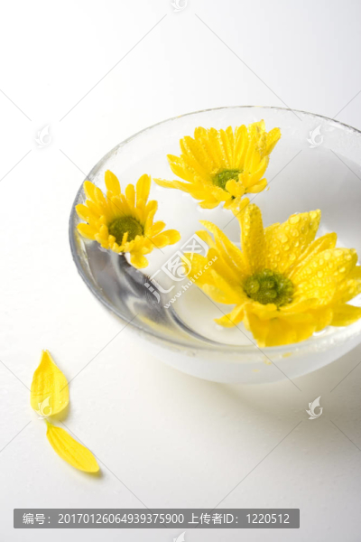 黃色的花