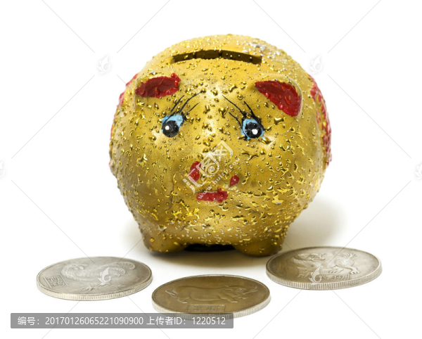 有趣的黃色小豬銀行