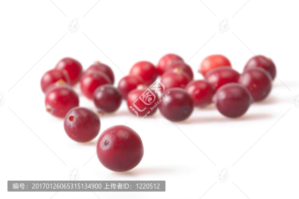冷凍蔓越莓背景