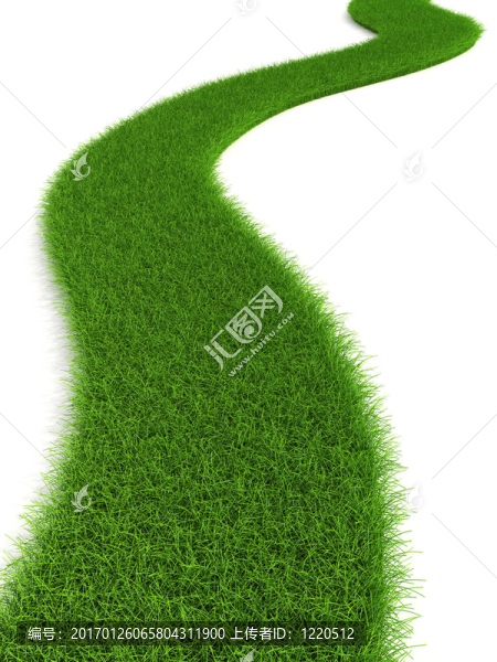 長(zhǎng)滿草的路