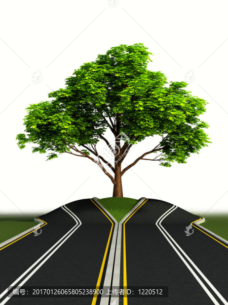 道路中間的樹