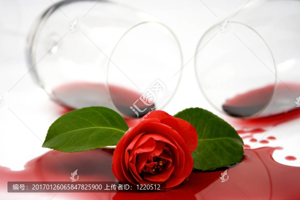 紅色山茶花和酒