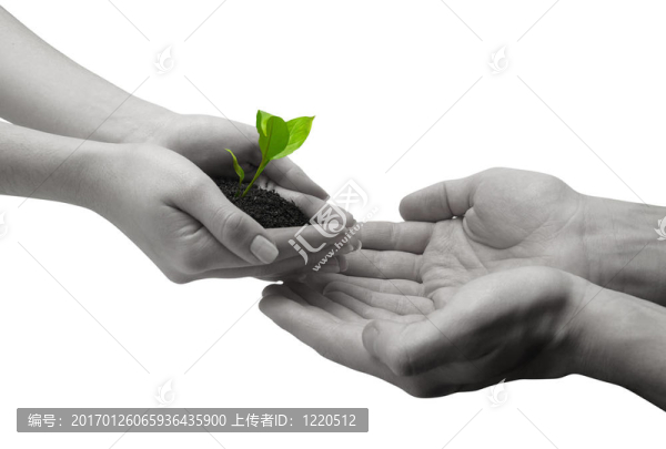 接受新鮮的想法