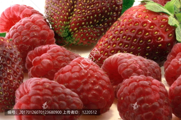 樹莓和草莓