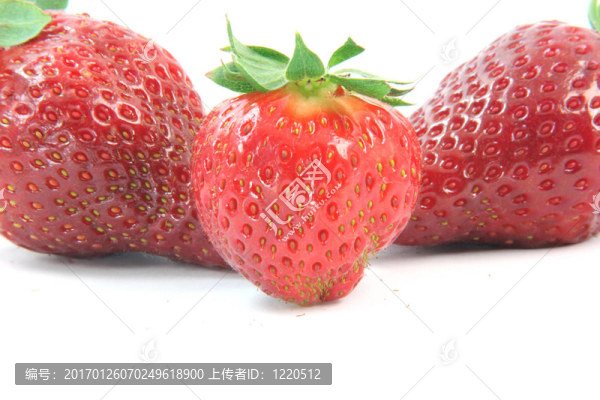 三草莓