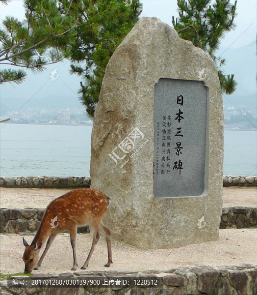 鹿旁邊的日本標(biāo)志-匯圖網(wǎng) www.fosd68.com 鹿旁邊的日本標(biāo)志