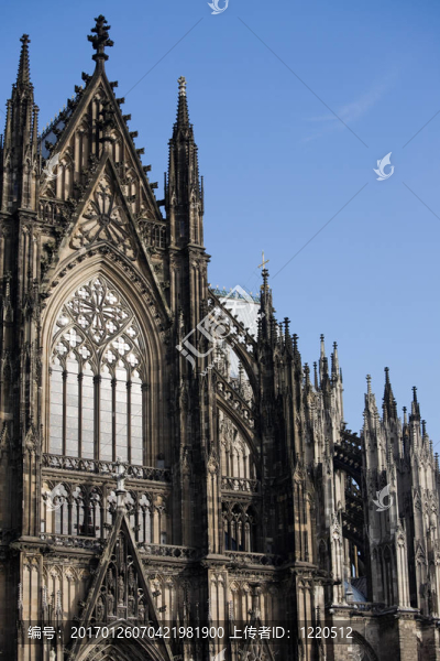 Dom在Cologne