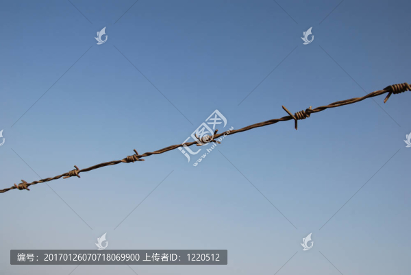 鐵絲網(wǎng)
