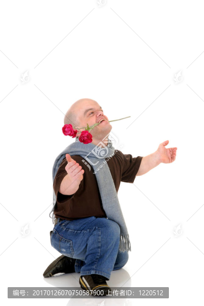 矮小的；有玫瑰的小矮人