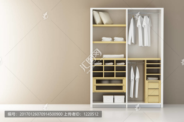現(xiàn)代衣柜內(nèi)3D效果圖