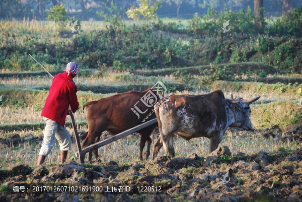 養(yǎng)殖1-匯圖網(wǎng) www.fosd68.com 養(yǎng)殖1