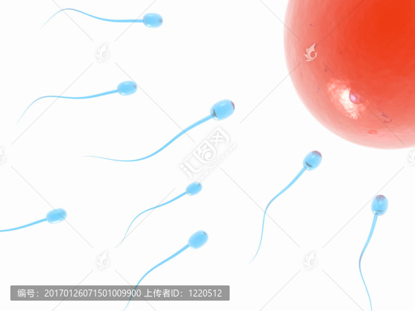 精子的攻擊