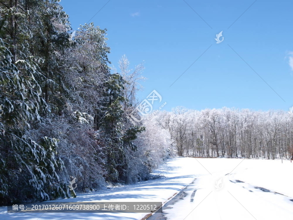 雪后