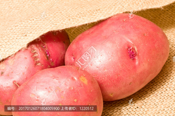 馬鈴薯