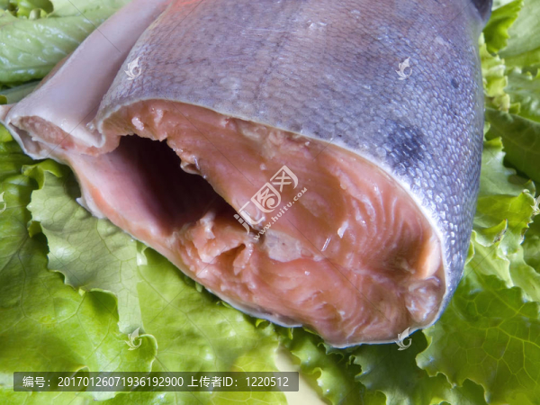 新鮮綠色魚從廚房綠色離開