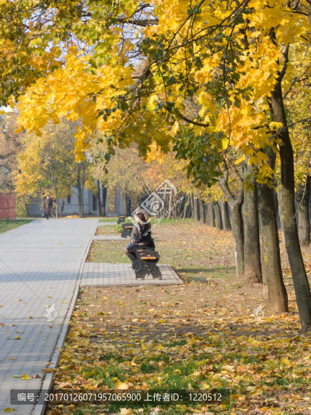 在秋天的公園里的女孩