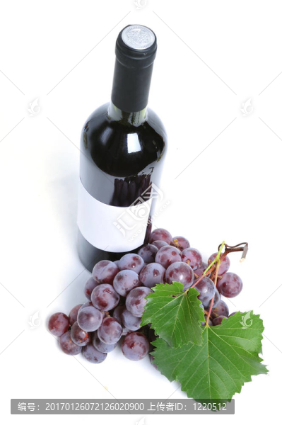 葡萄酒和葡萄